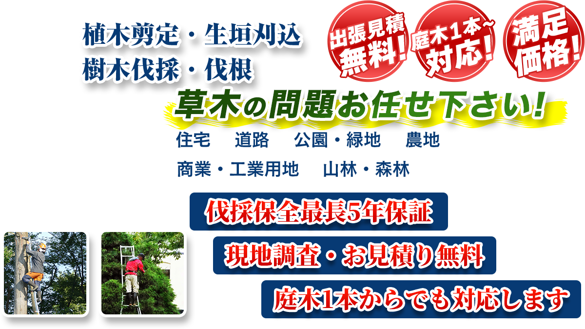 堺市エリア即対応!! 出張無料! 庭木1本~対応! 満足価格! 植木剪定・生垣刈込 樹木伐採・伐根 草木の問題お任せ下さい! 住宅 道路 公園・緑地 農地 商業・工業用他 山林・森林 伐採保全最長5年保証 現地調査・お見積り無料 庭木1本からでも対応します